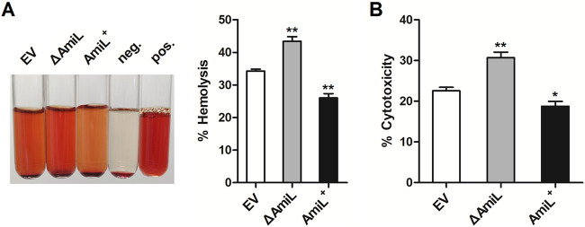 FIG 5