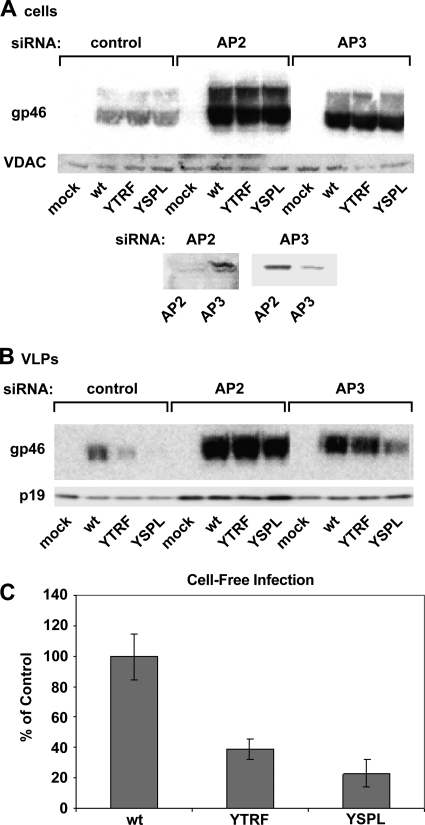 FIG. 6.