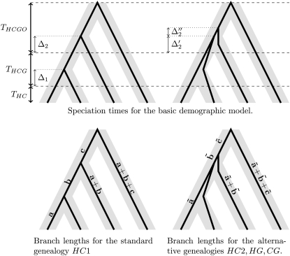 Figure 4.—