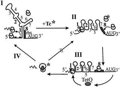 FIG. 5.