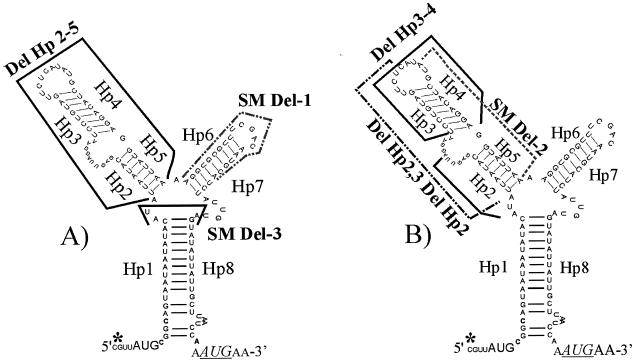 FIG. 2.