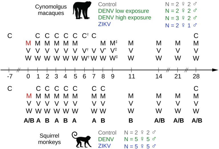 Figure 1: