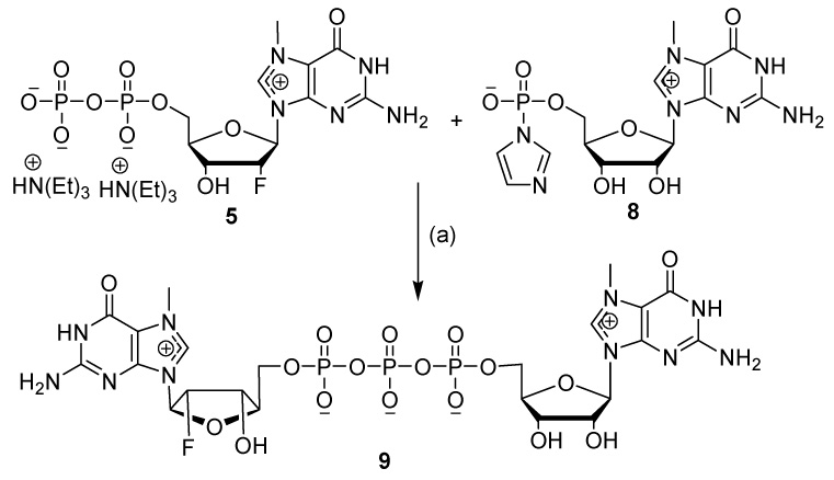 Scheme 2