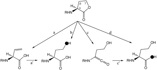 Scheme 2