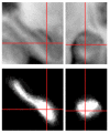 Fig. 9