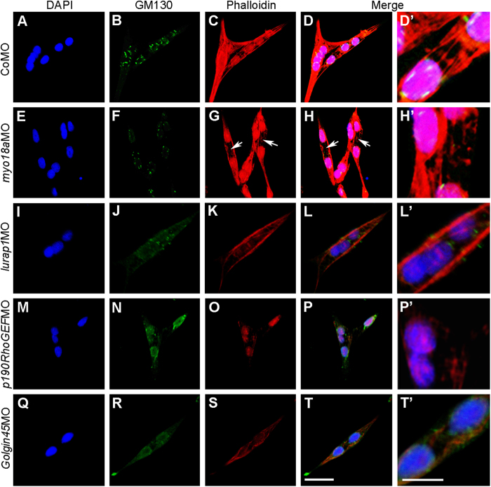 Figure 7