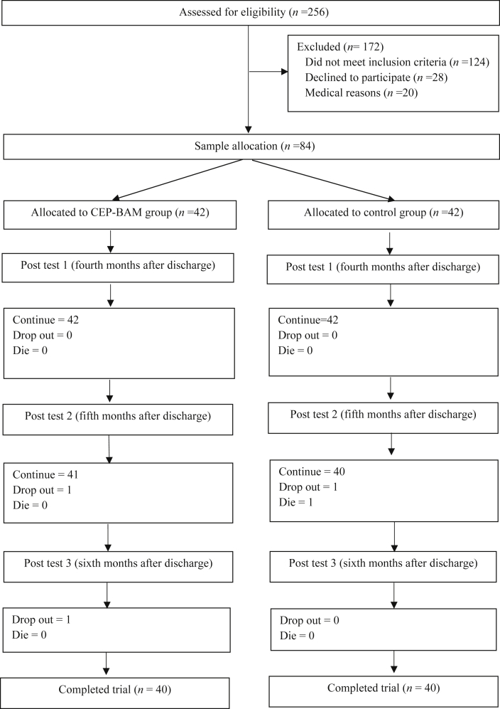 Fig. 1