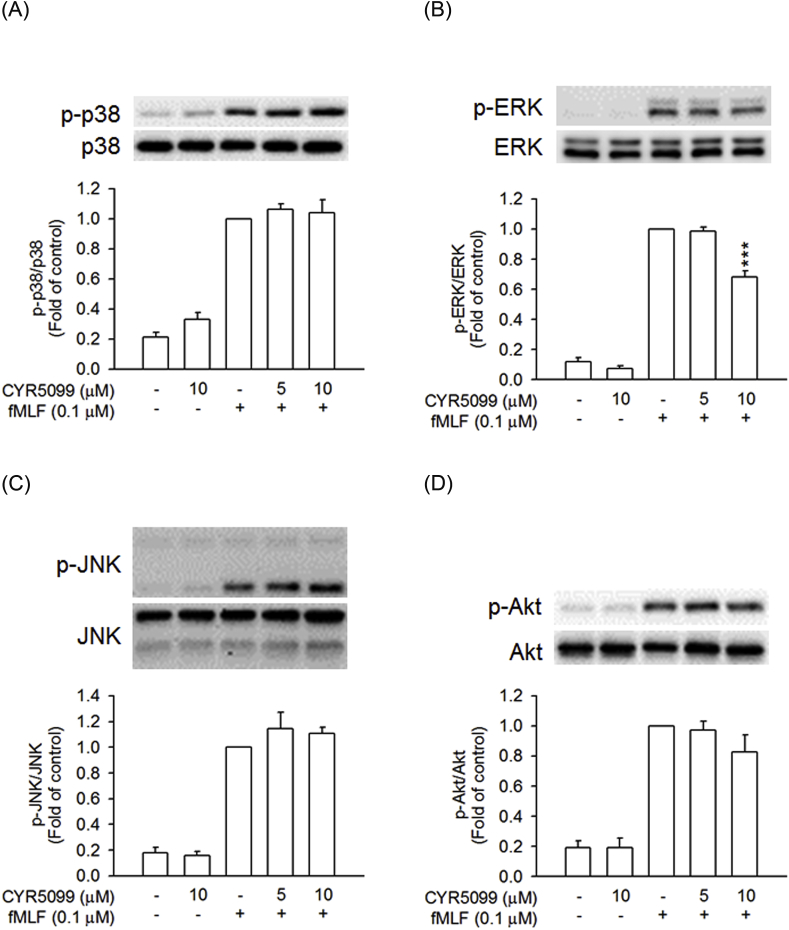 Fig. 11