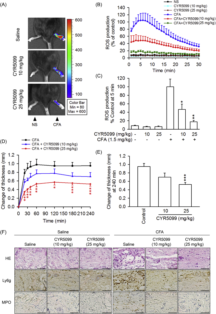 Fig. 14