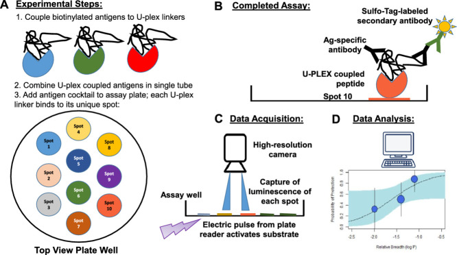 Image, graphical abstract