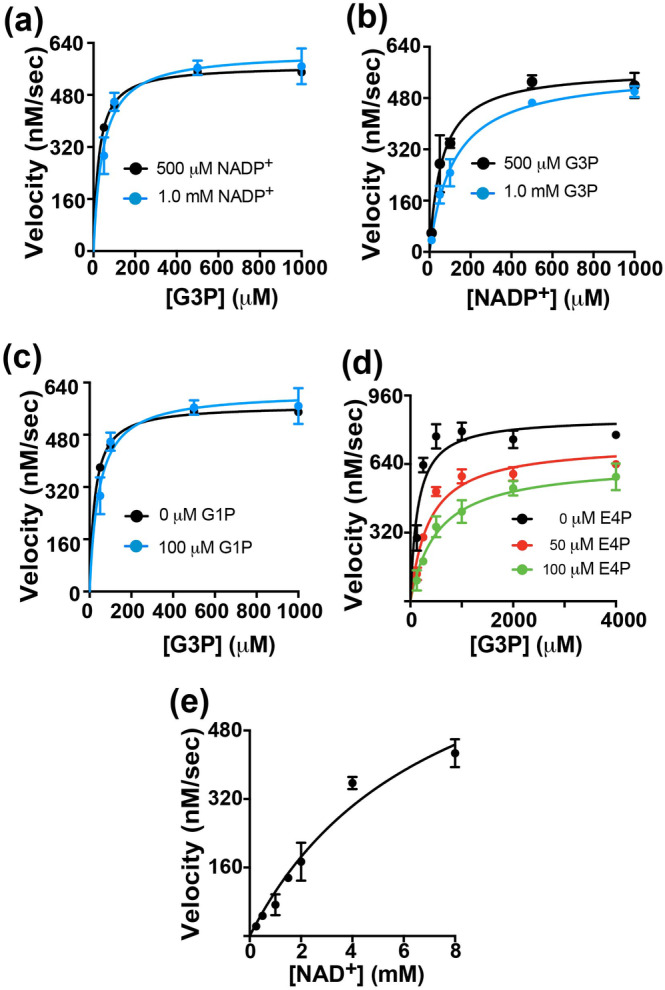 FIGURE 2