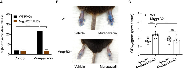 Figure 6