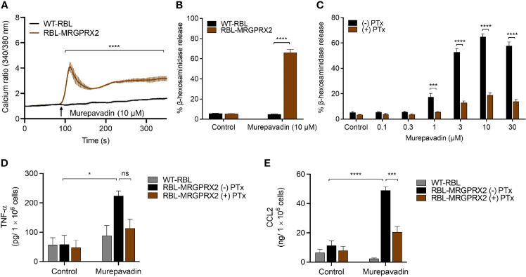 Figure 2