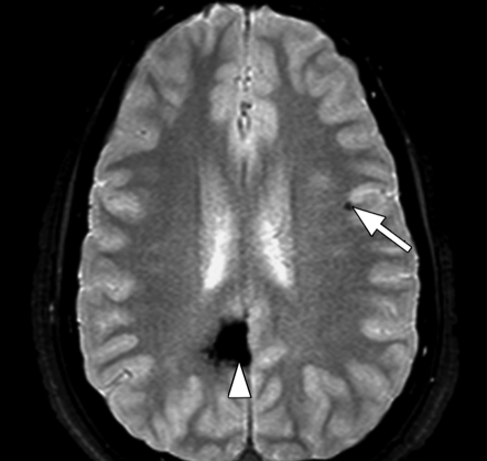 Figure 3b