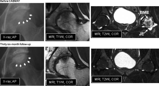 Fig. 4