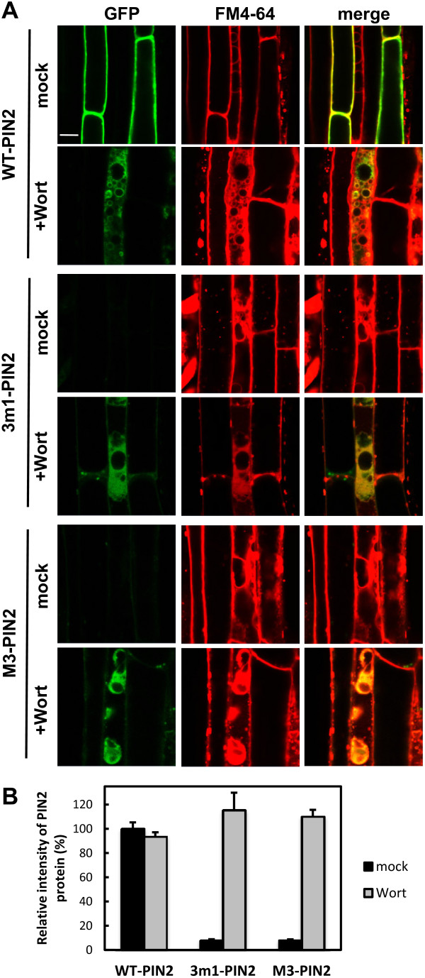 Figure 6