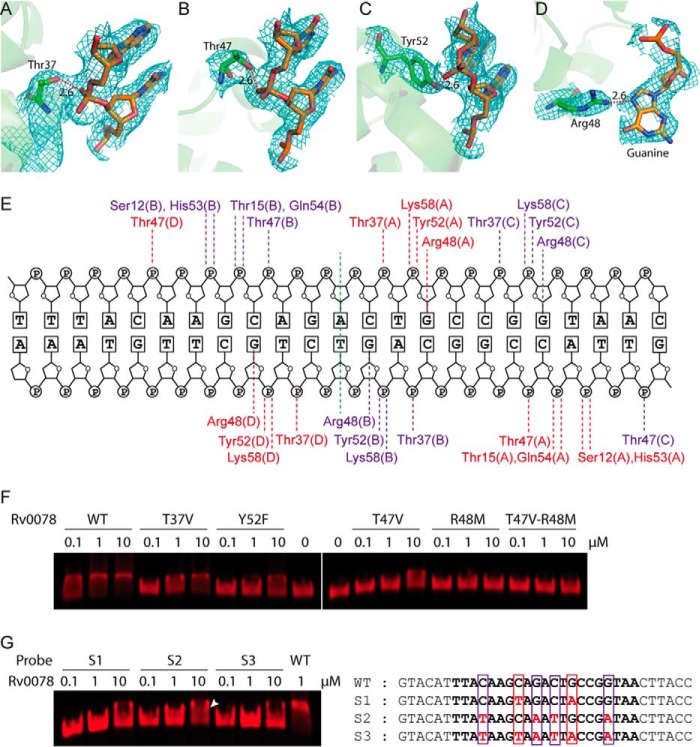 FIG 4 