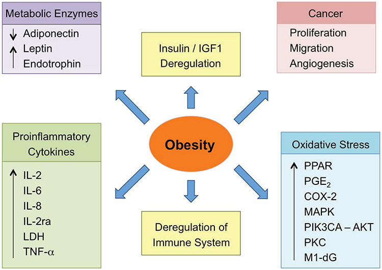 FIG. 2: