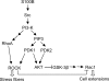 FIGURE 9.