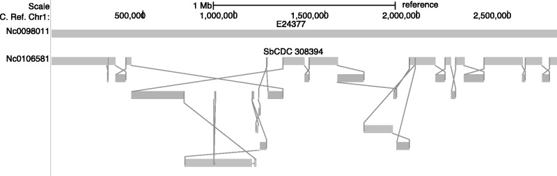 Fig. 4.