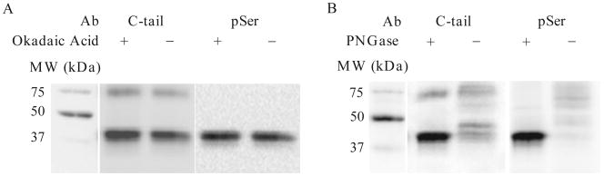 Figure 19.3