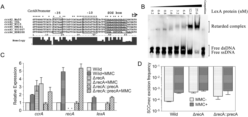 Figure 6.