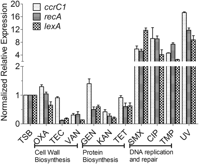 Figure 1.