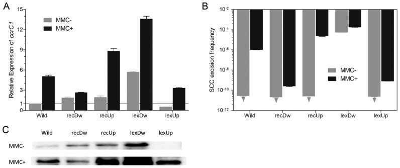 Figure 5.