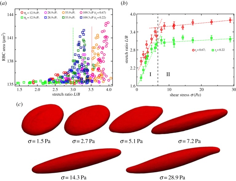 Figure 10.