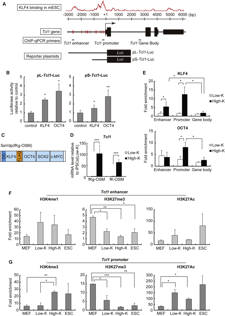 Figure 4