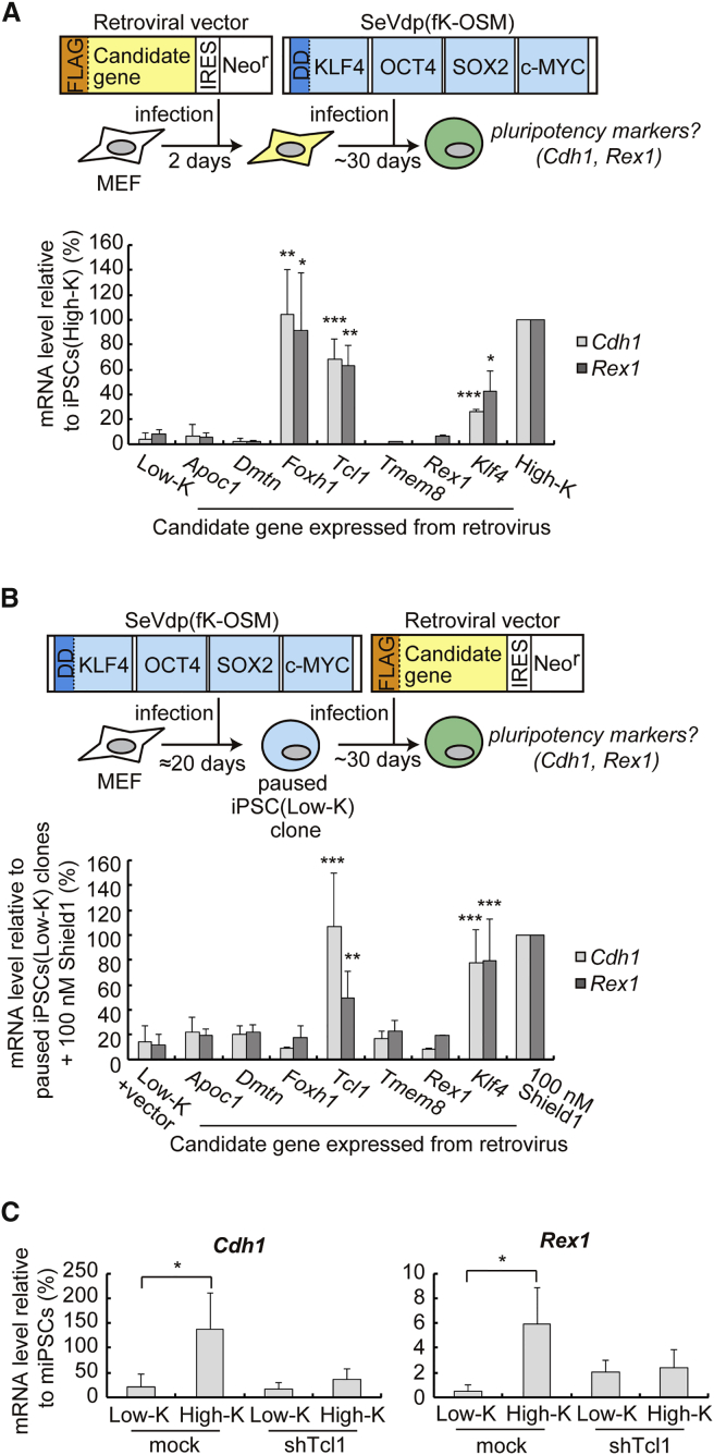 Figure 2