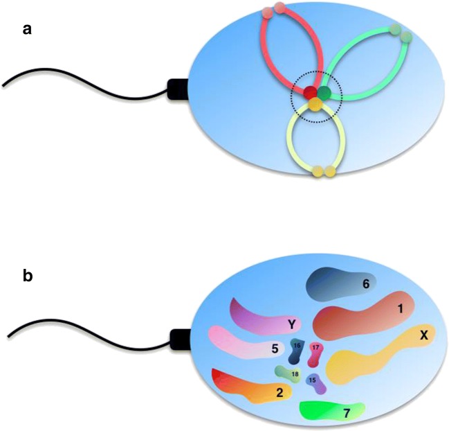 Fig. 1