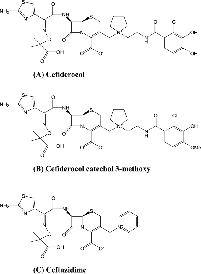 FIG 1