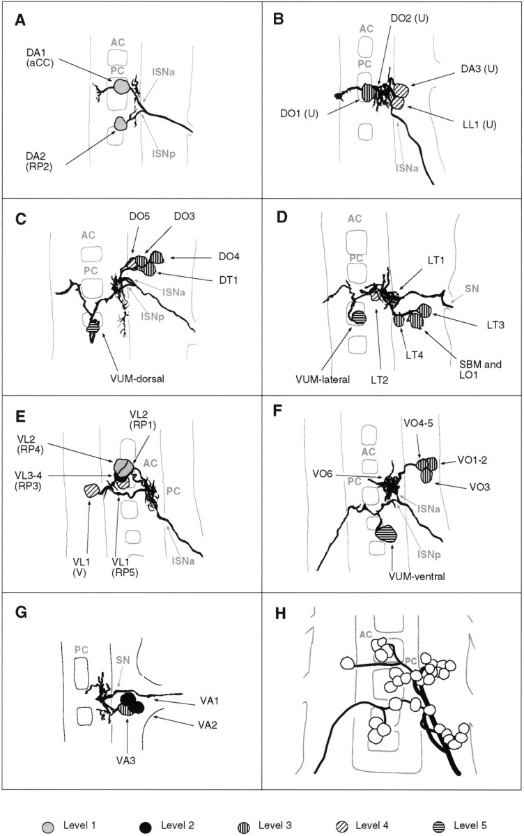 Fig. 5.