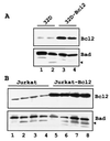FIG. 7
