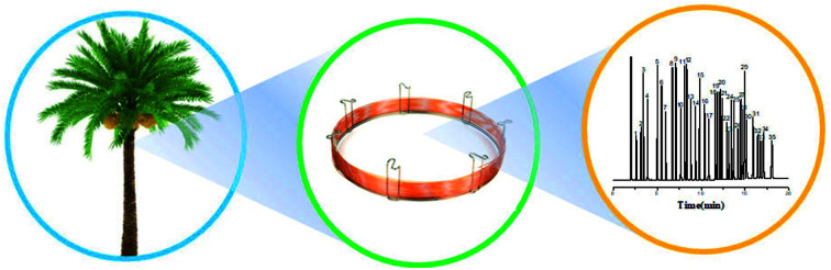 graphic file with name c8ra05792c-ga.jpg