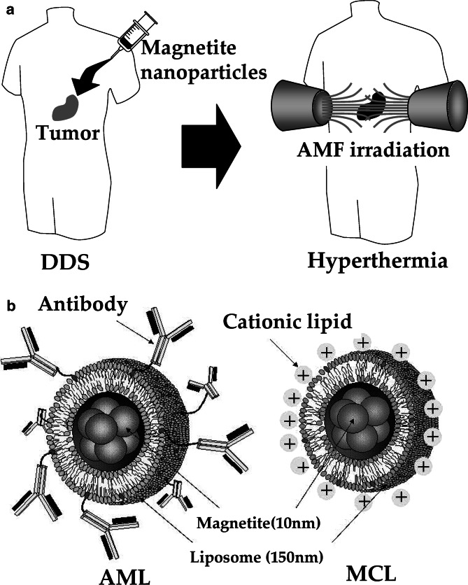 Fig. 1