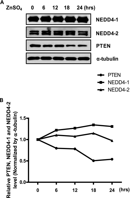 FIGURE 7.