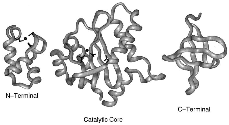 FIG. 1