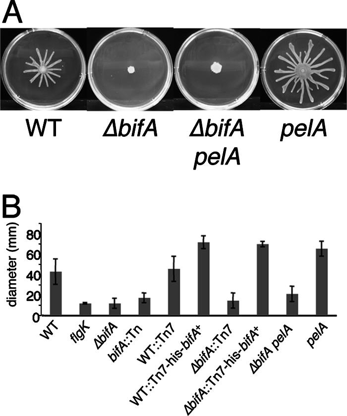 FIG. 3.