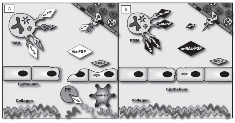 FIG. 10