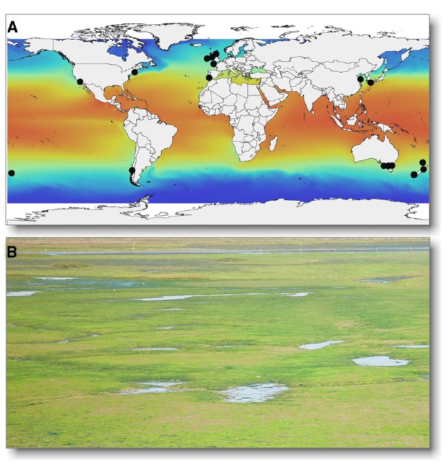 FIGURE 1