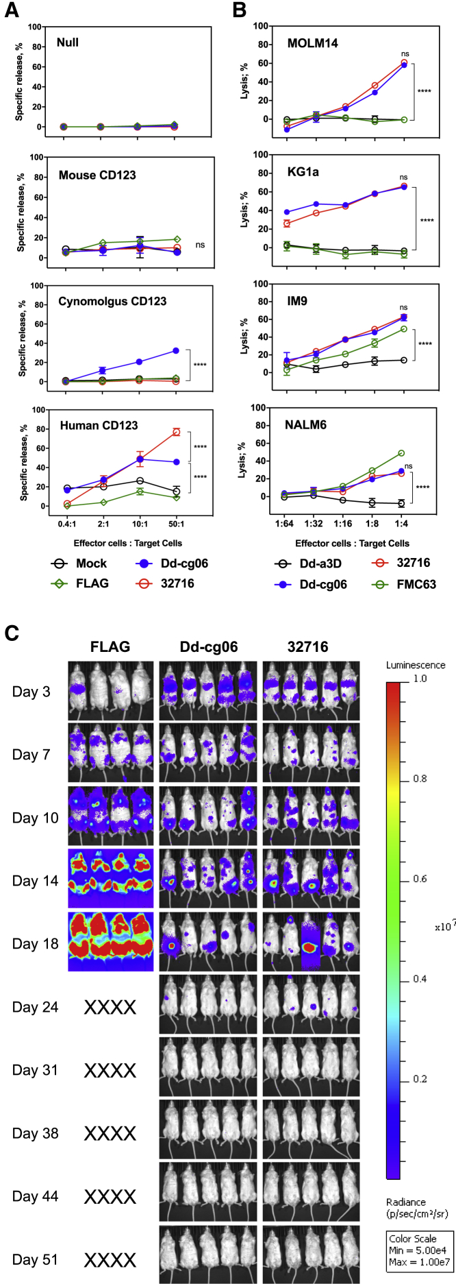 Figure 3