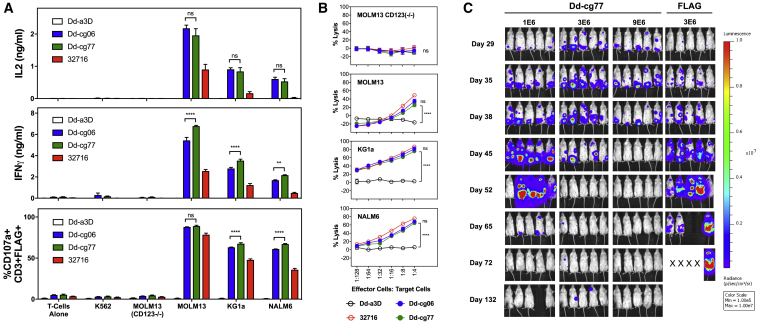 Figure 4