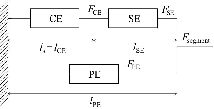 Fig. 6