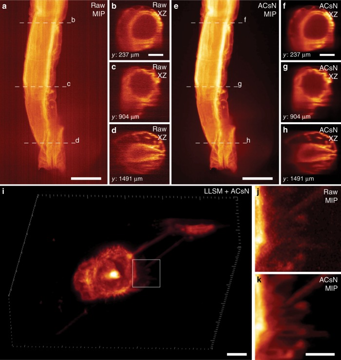 Fig. 6