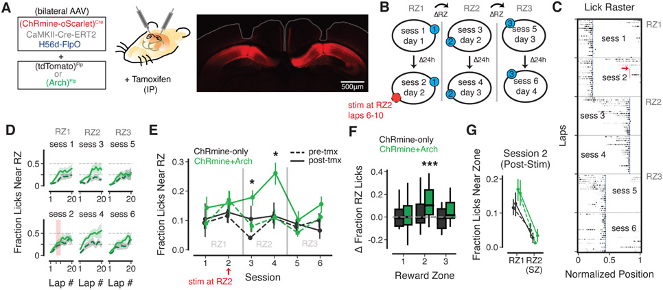 Figure 4: