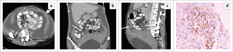 FIGURE 4