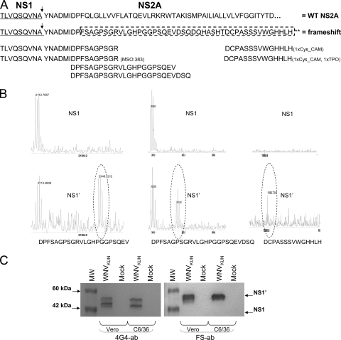 FIG. 2.