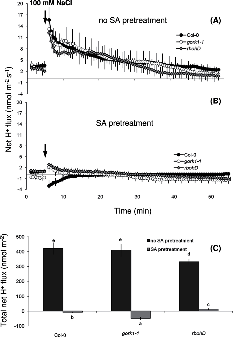 Fig. 8.